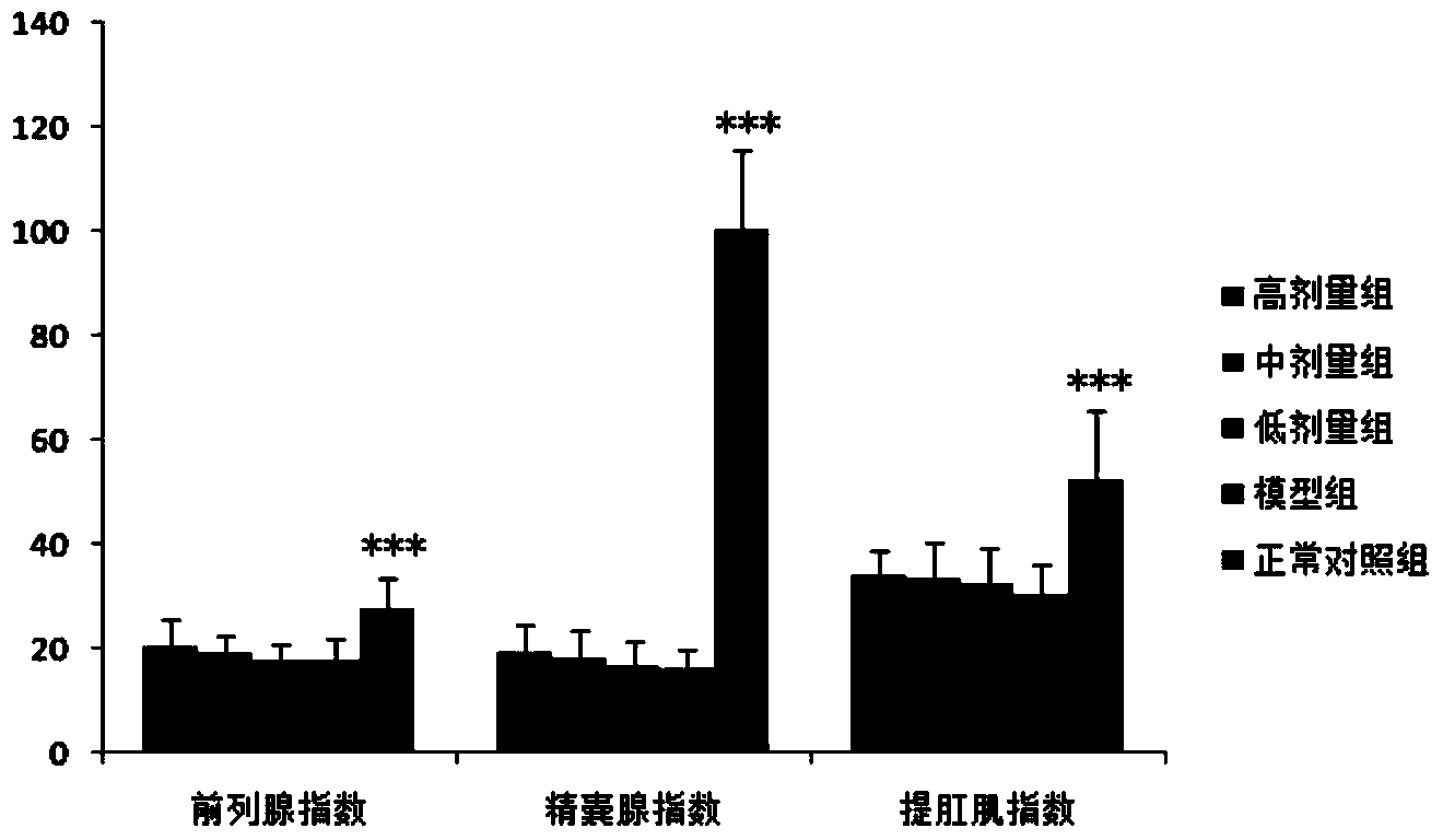 Composite functional beverage, preparation method and application thereof