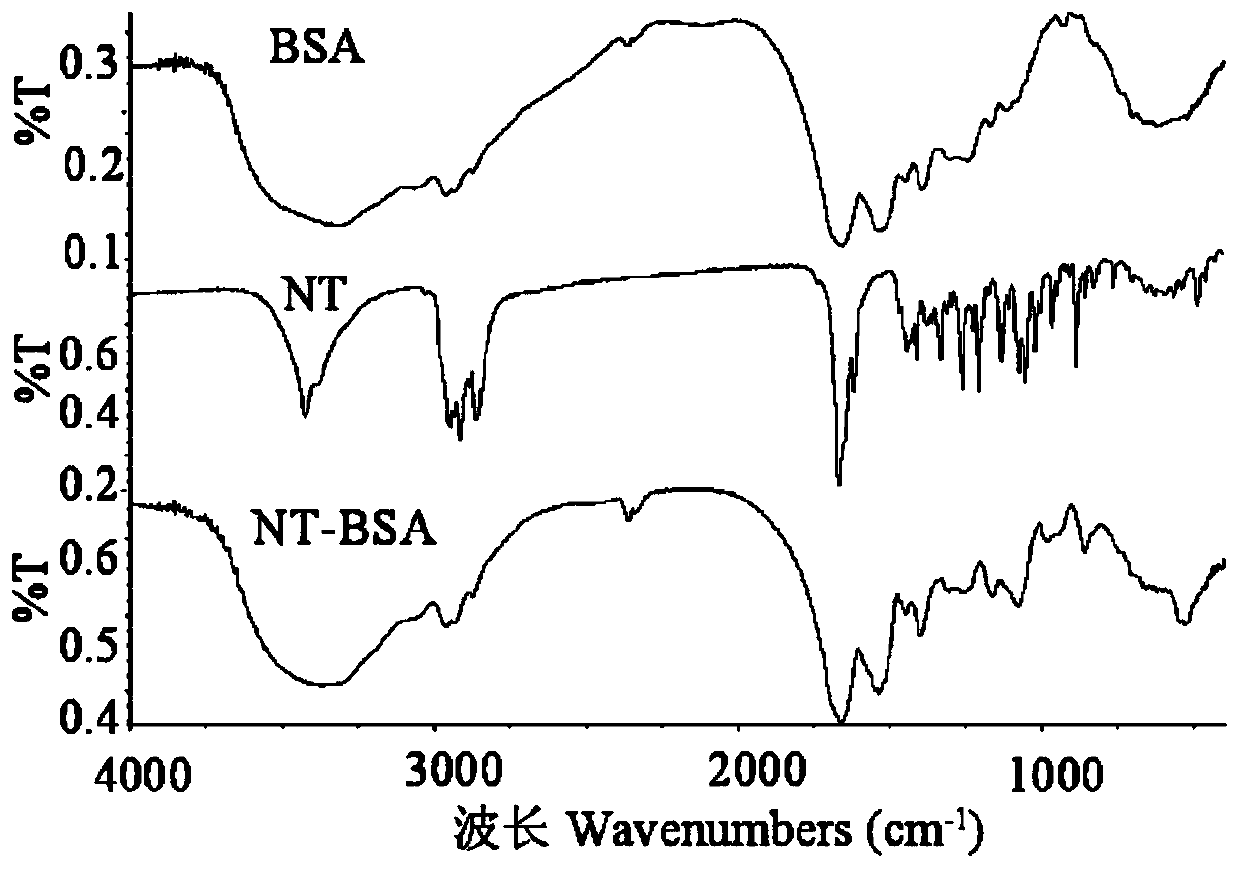 Method for synthesizing nortestosterone artificial antigen