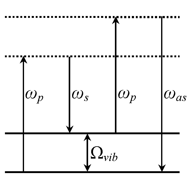 System and method for carrying out CARS (Coherent anti-Stokes Raman Scattering) imaging by using four-wave mixing signals generated by optical fiber