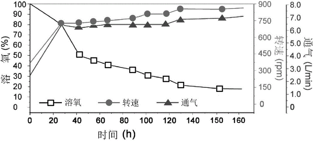 Lipase gene COLIP and lipase encoded by same