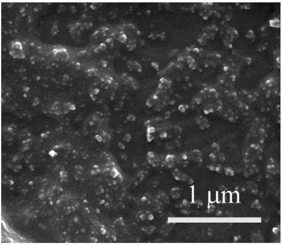 Super-lyophilic coating resistant to mechanical damages and preparation method thereof