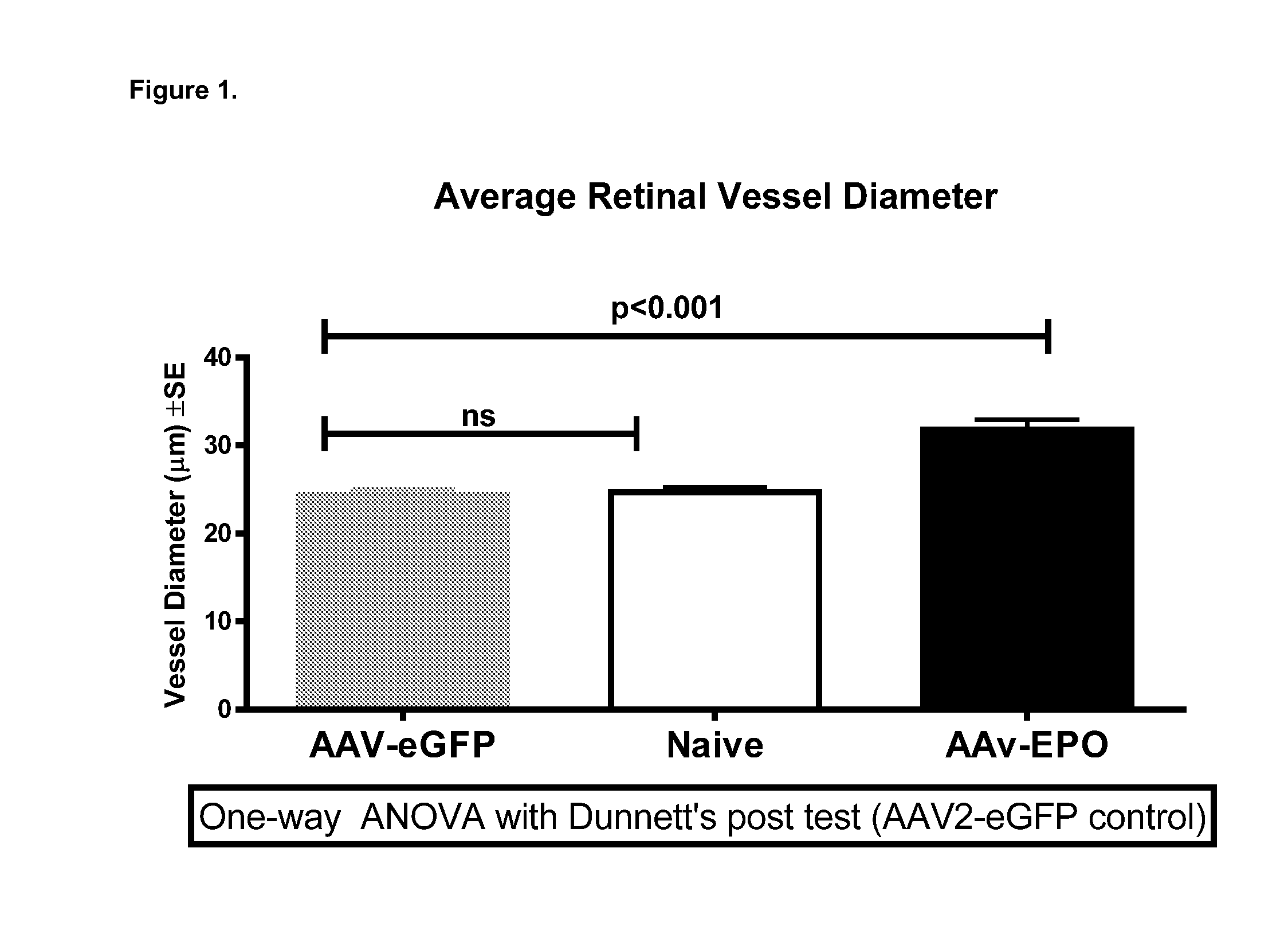 Compositions and methods for antibodies targeting epo