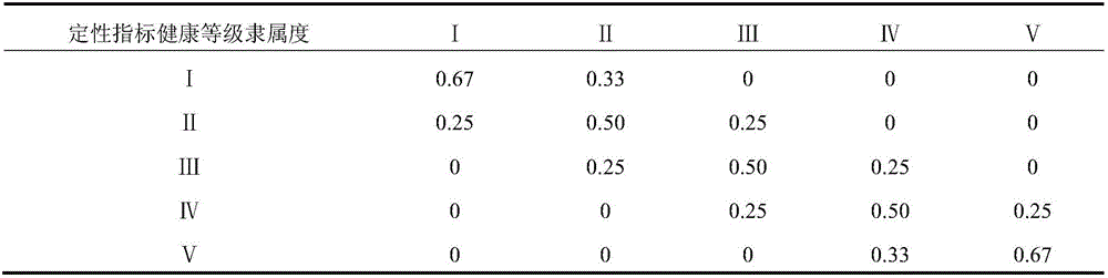 River health evaluation method based on natural and social influence