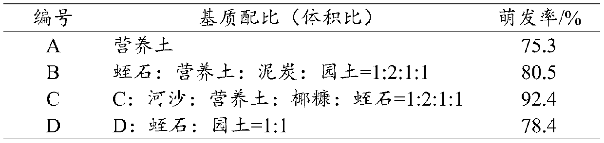 Method for improving germination rate of macleaya cordata seeds