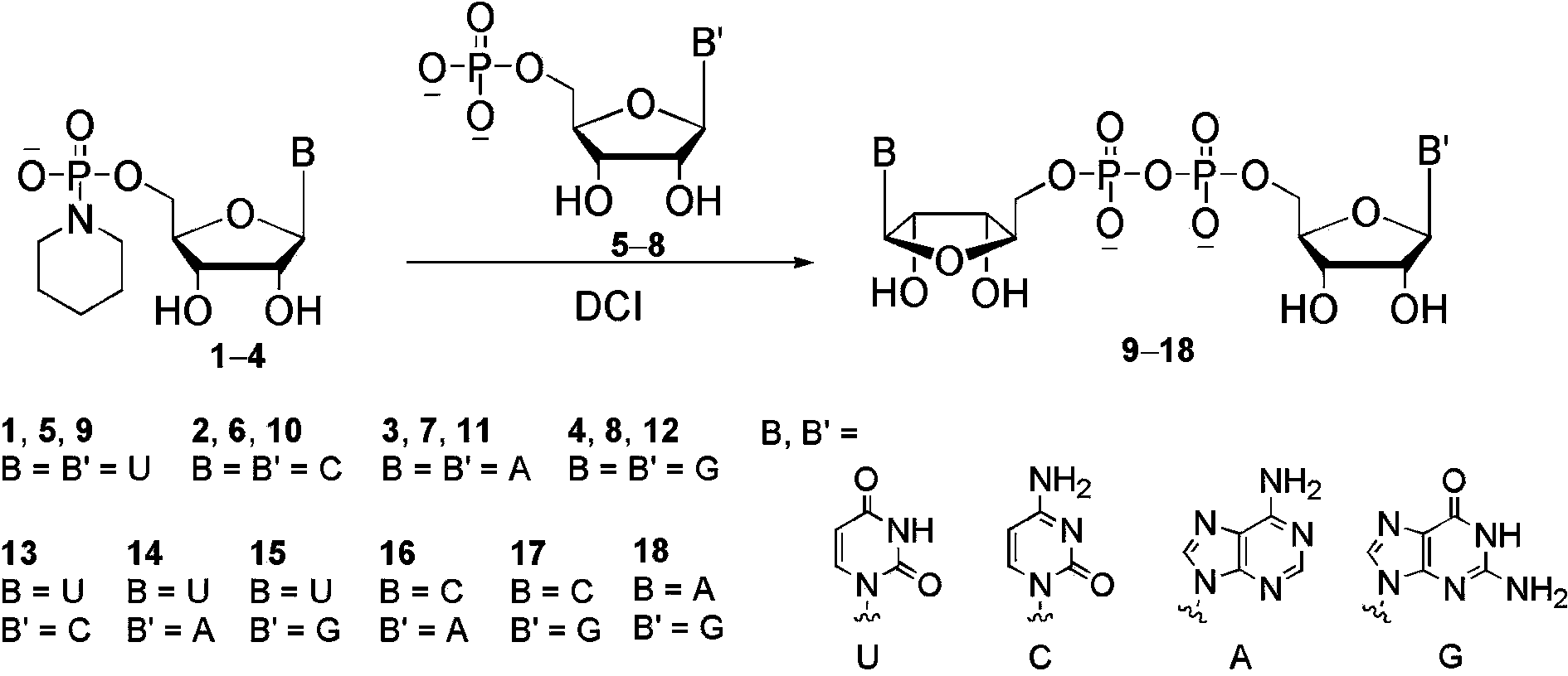 Method for synthesizing dinucleoside diphosphate and dinucleoside triphosphote