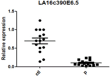 Kit applied to embryonic development quality evaluation and use method