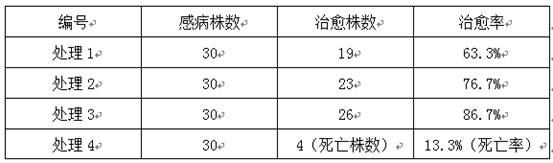 Comprehensive control method for diseases and insect pests of Chinese chestnuts