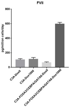 Method for preparing immortalized hepatocytes with reversible liver functions and application of immortalized hepatocytes