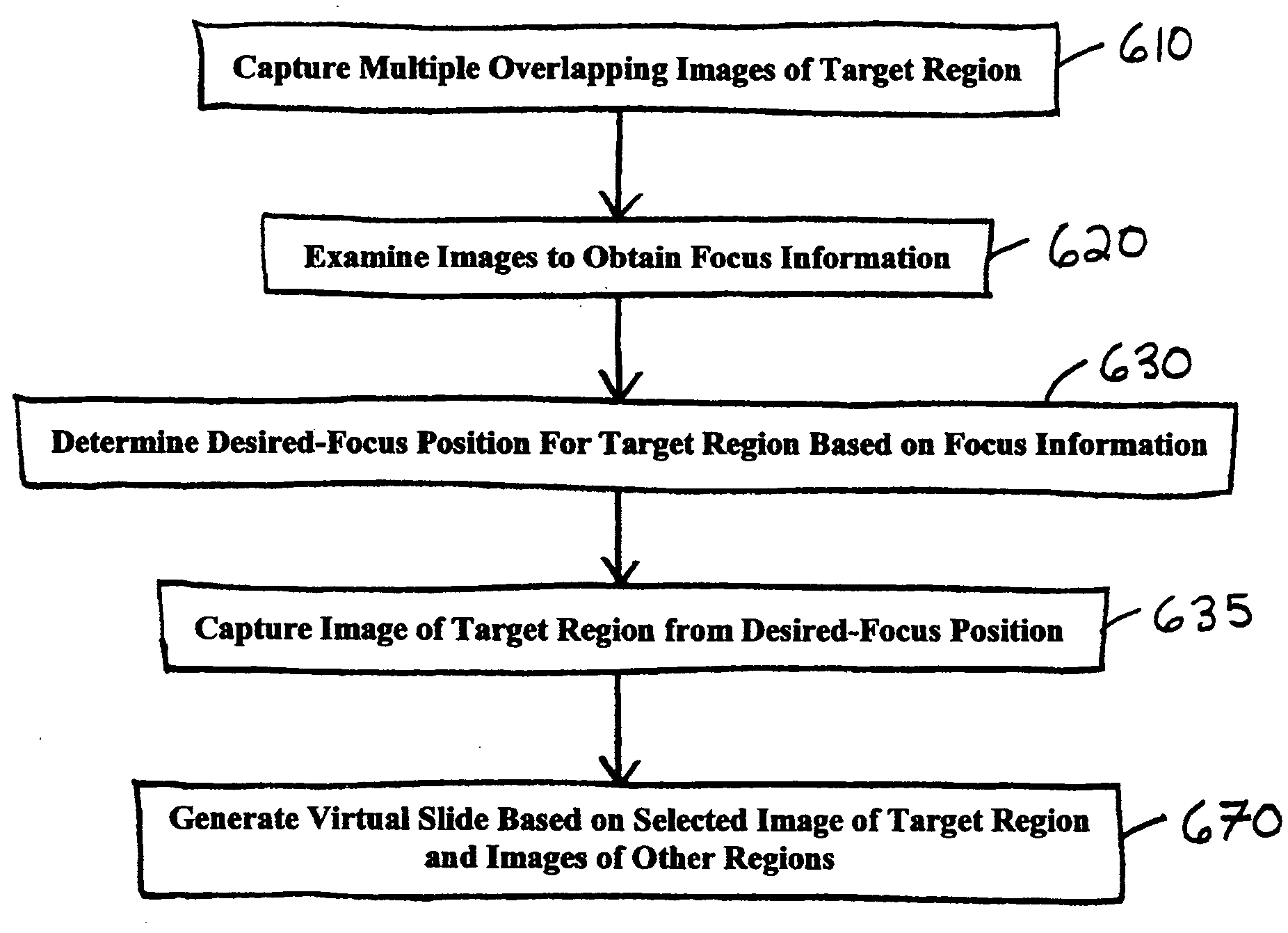 System and method for generating digital images of a microscope slide