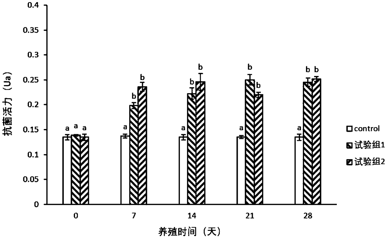 Chinese herbal medicine compound polysaccharide immunity-enhanced feed additive for prawns