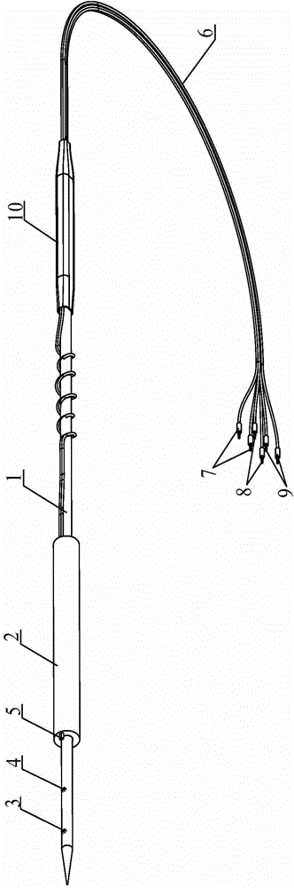 Dual-pole cardiac muscle tissue one-way action potential recording electrode