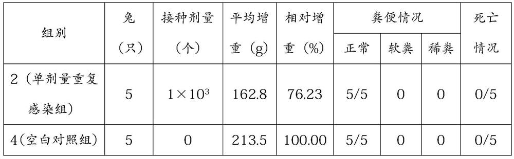 A kind of Eimeria medium-sized rabbit precoccus strain and its preparation method and application