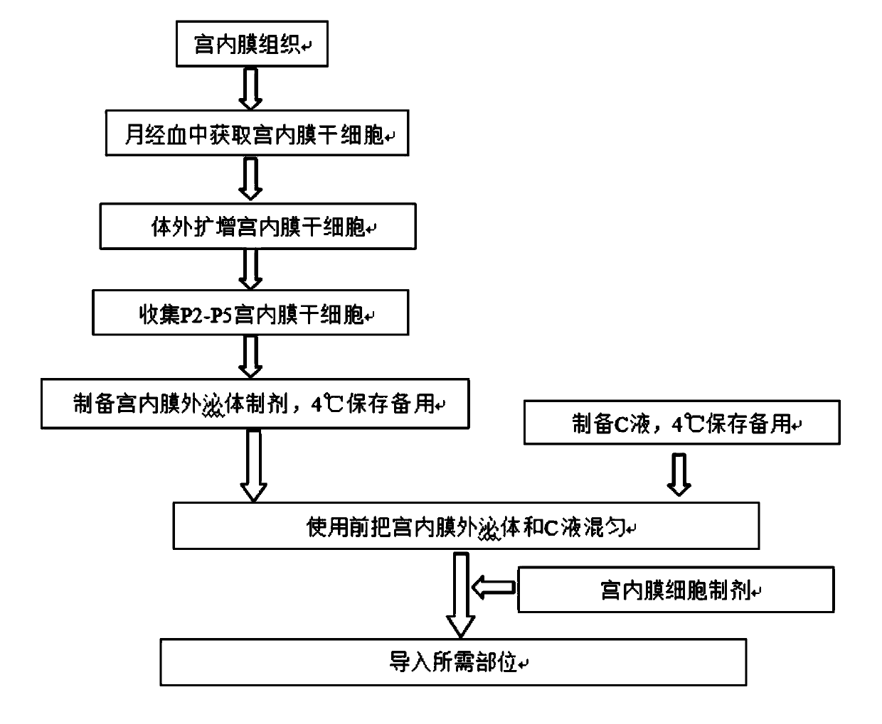 Thermo-sensitive gelatin preparation for endometrium stem cells and preparation method and application of thermo-sensitive gelatin preparation