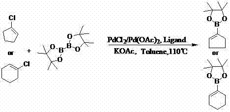 Method for preparing cyclopentene/cyclohexene-1-boronic acid pinacol ester