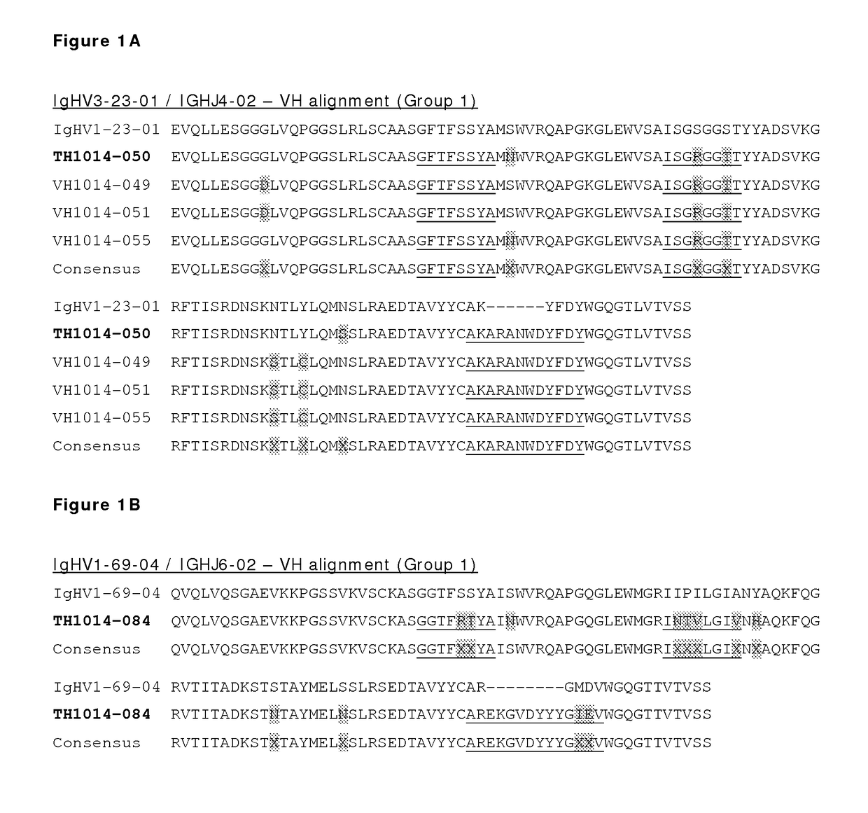 Monoclonal antibodies against HER2