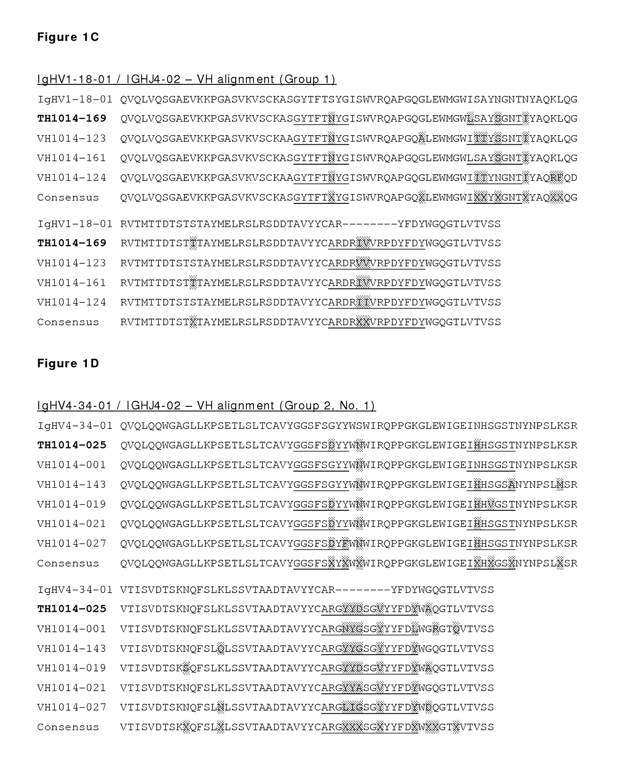 Monoclonal antibodies against HER2