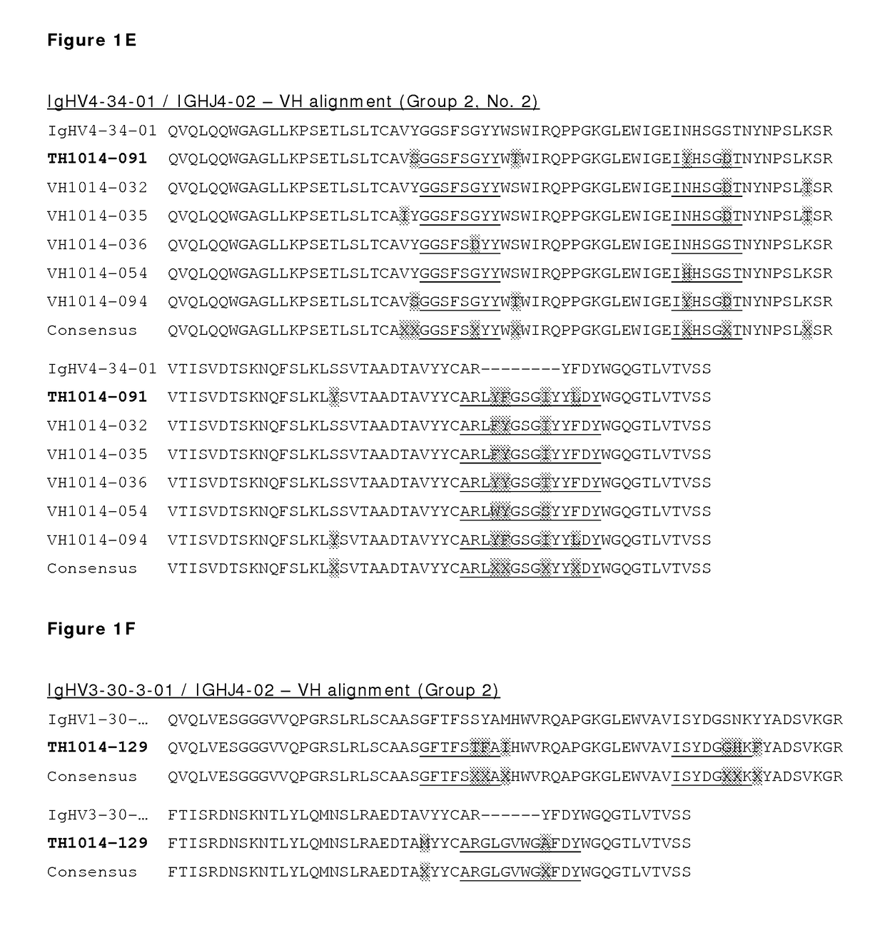 Monoclonal antibodies against HER2