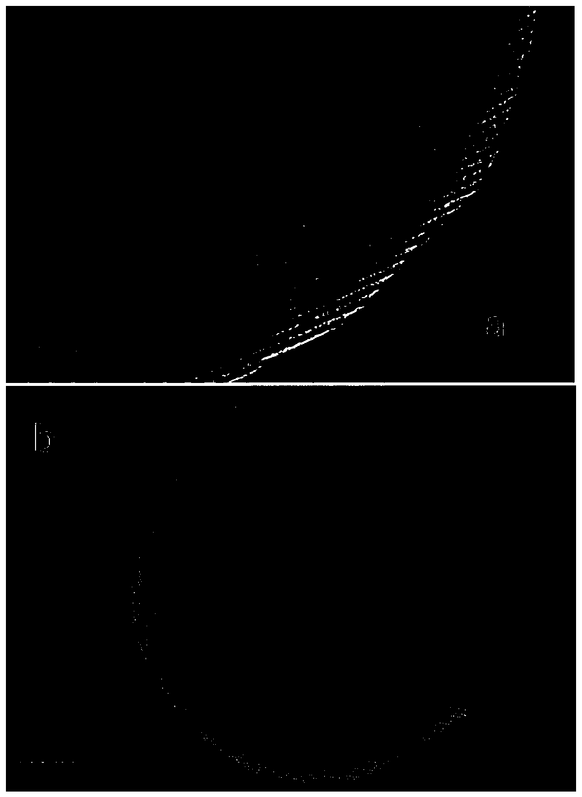 Method for preparing reinforced and toughened stimuli-responsive flexible packaging anti-oxidation composite film