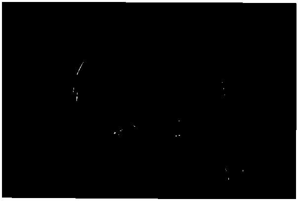 Mortierella alpina strain capable of realizing high-yield production of arachidonic acid oil and application thereof