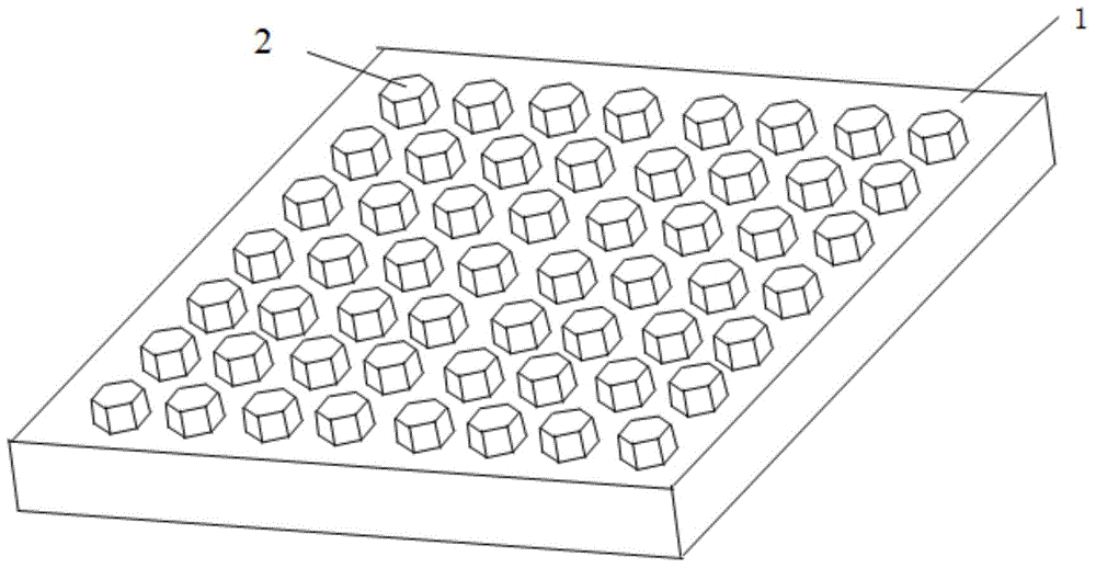 Surface enhanced Raman scattering sensor and preparation method thereof