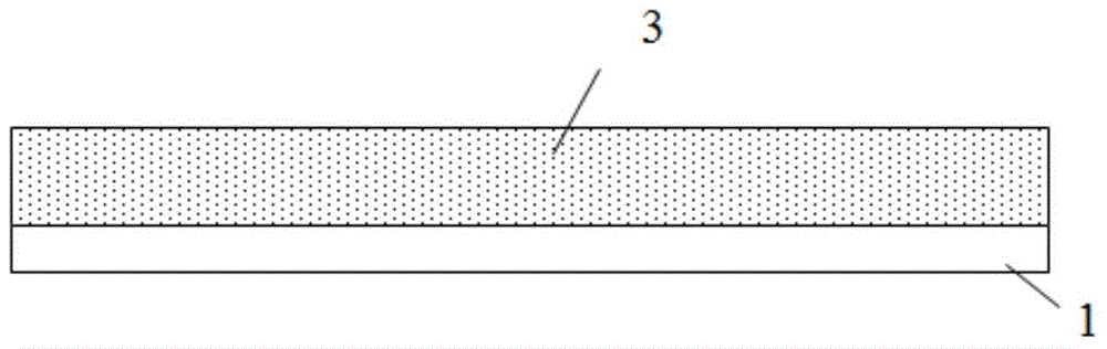 Surface enhanced Raman scattering sensor and preparation method thereof