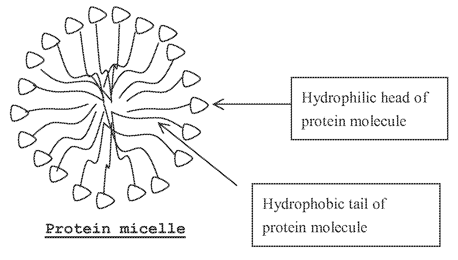 Whey protein vehicle for active agent delivery