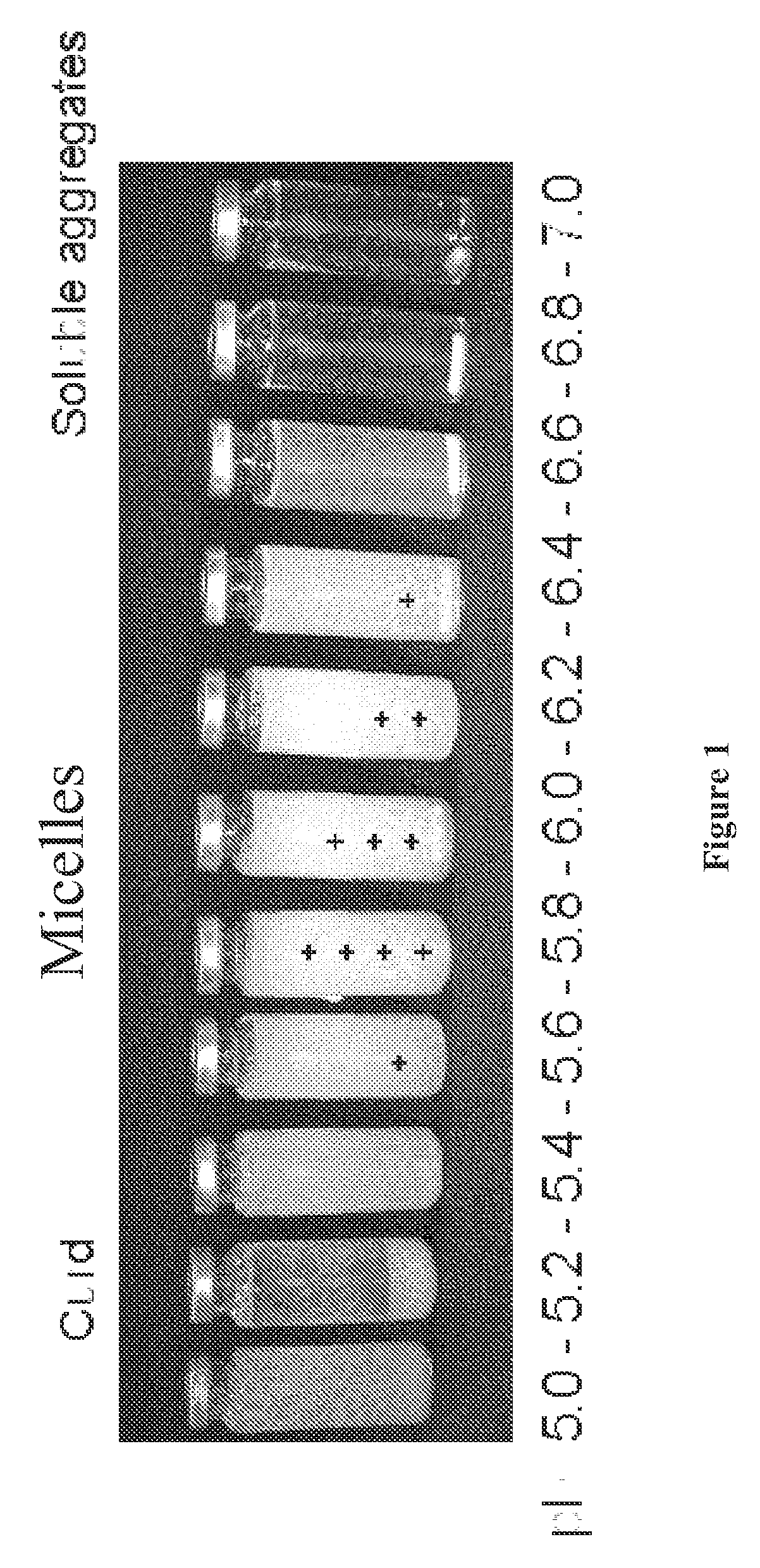 Whey protein vehicle for active agent delivery