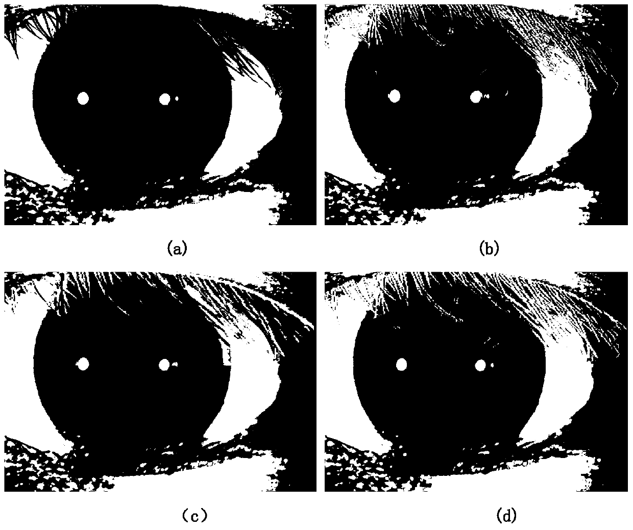 Method of extracting eyelashes based on improved ant colony algorithm