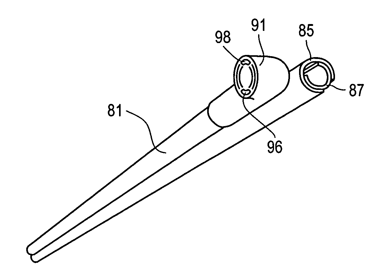 Apparatus for endoscopic cardiac mapping and lead placement