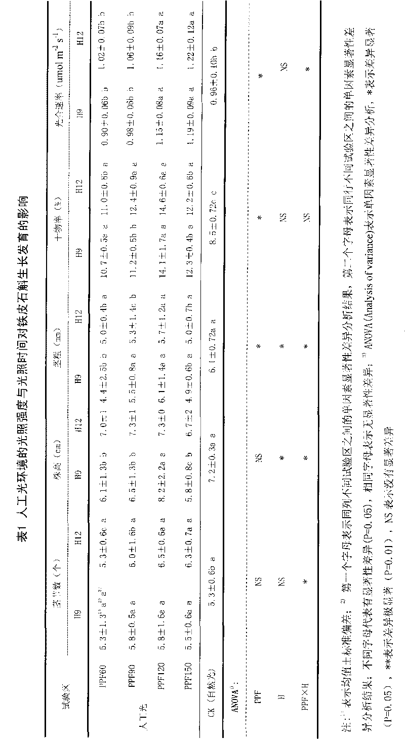 Artificial light cultivating method of dendrobium candidum