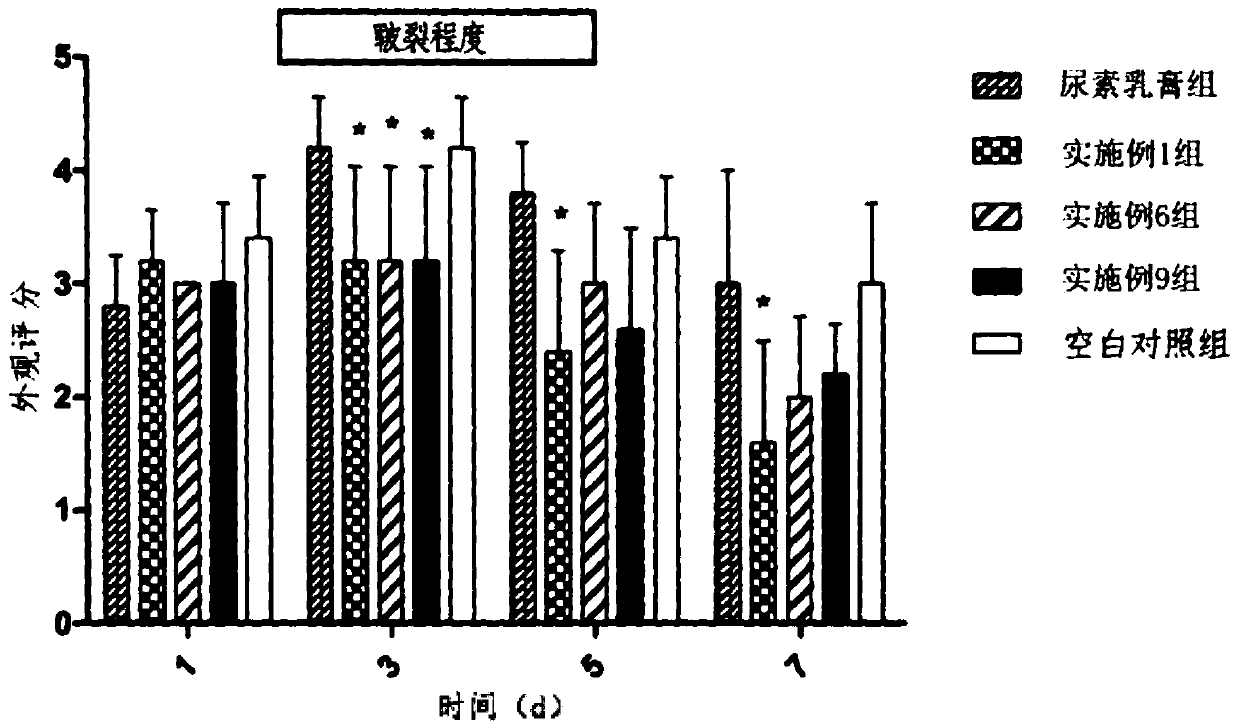 Externally used pharmaceutical composition for skin and preparation method thereof