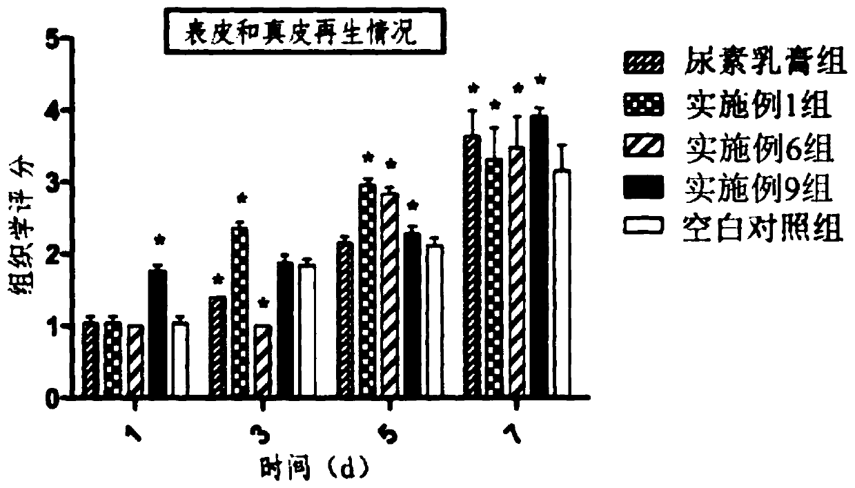 Externally used pharmaceutical composition for skin and preparation method thereof