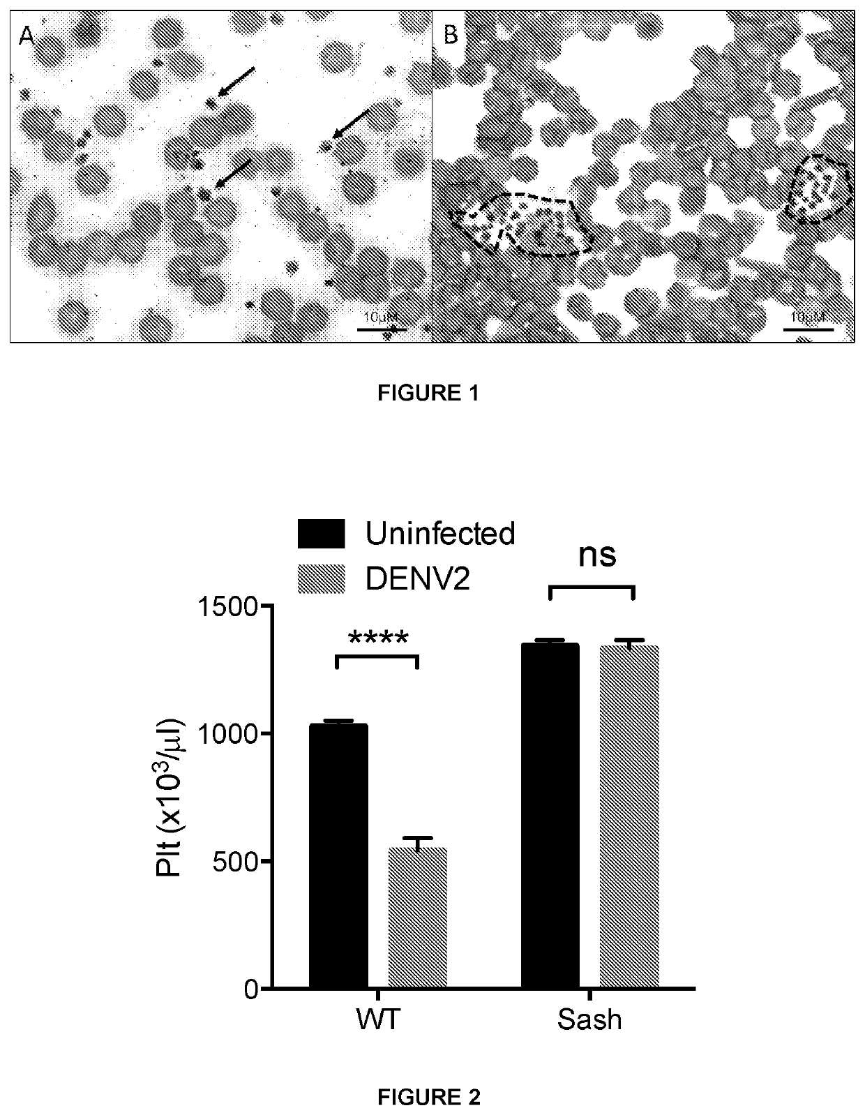 Use of serotonergic drugs to treat virus-induced thrombocytopenia