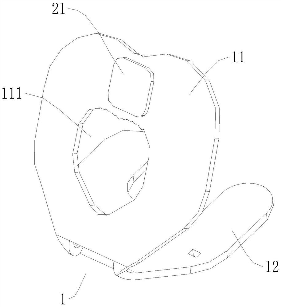 Egg laying recording device suitable for cloaca of female Chinese softshell turtle