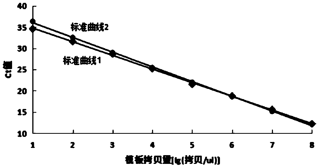 Specific primer set and detection kit for detecting drug resistance mutation gene of Mycoplasma pneumoniae