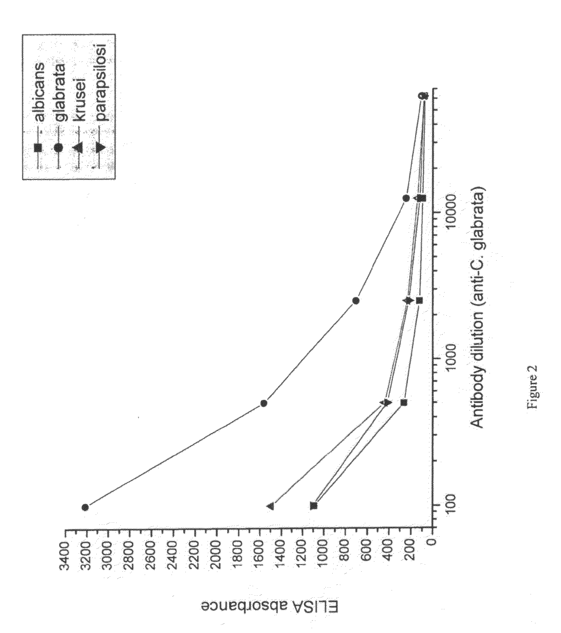 LOCAL ADMINISTRATION OF CHICKEN YOLK IMMUNE GLOBULINS (IgY) TO TREAT AND PREVENT FUNGAL INFECTIONS