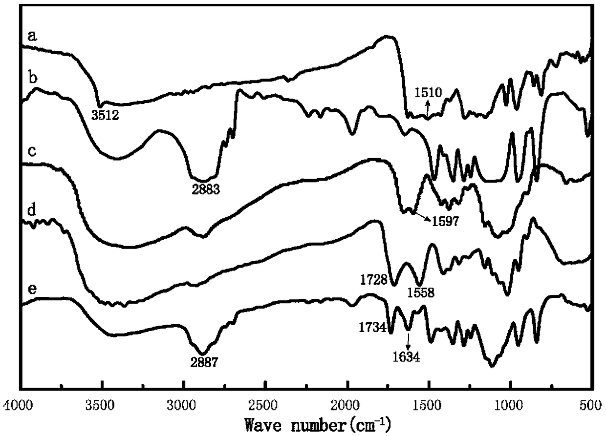 Polyethylene glycol-chitosan-curcumin polymer, drug-loaded nano particles thereof and preparation method thereof