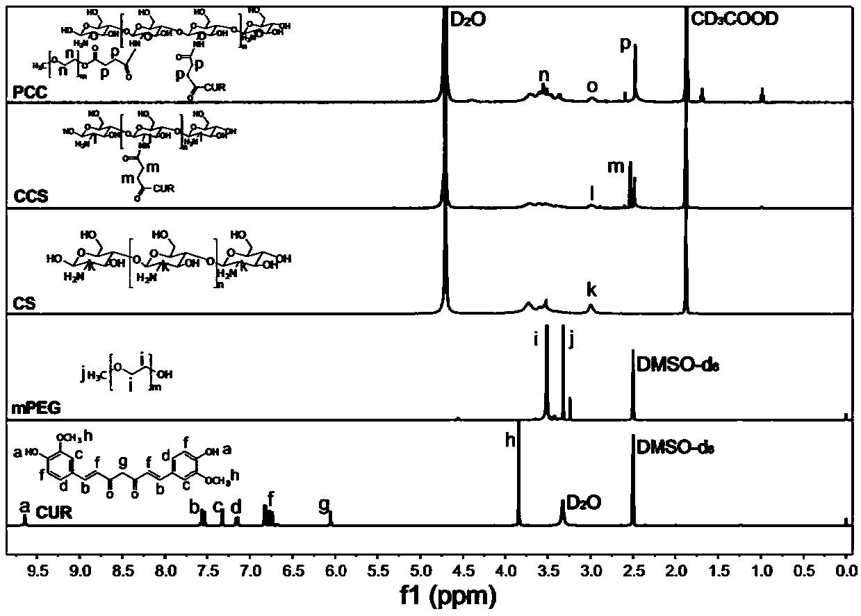 Polyethylene glycol-chitosan-curcumin polymer, drug-loaded nano particles thereof and preparation method thereof