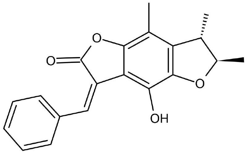 Application of benzodifuranone compound in treatment of intractable epilepsy