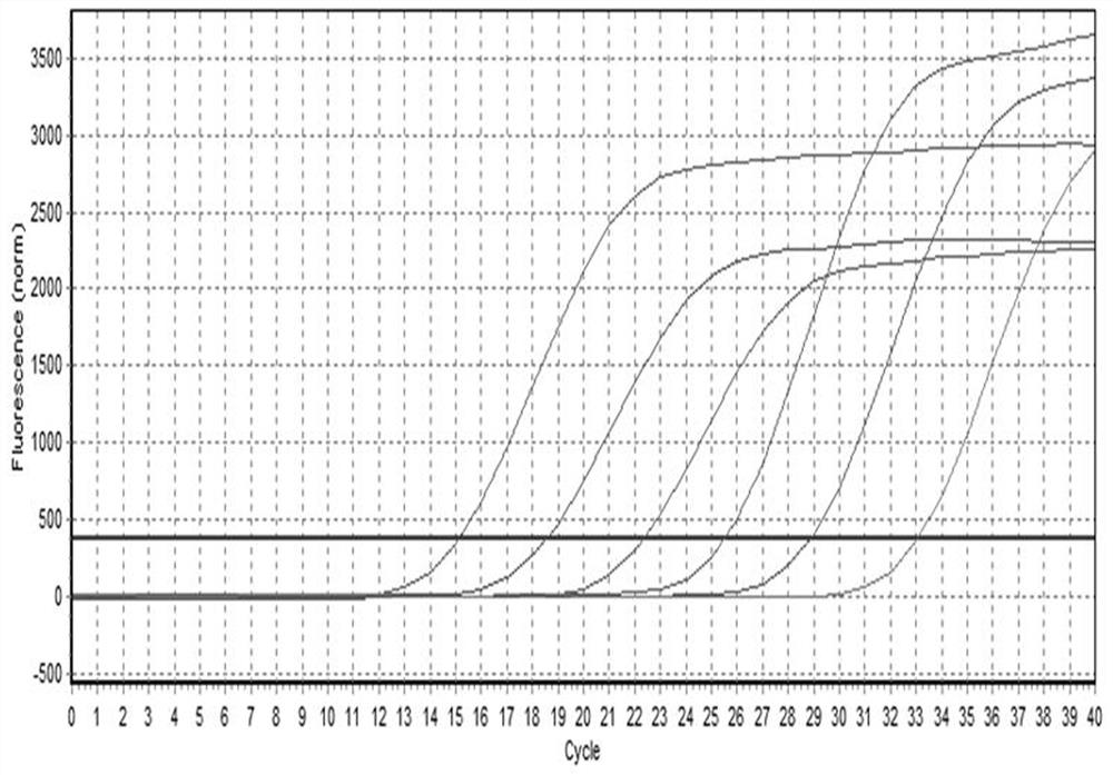 Pigeon ttv and pigeon new adenovirus double Evagreen real-time fluorescent quantitative PCR detection kit