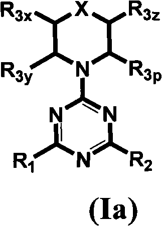 Triazine, pyrimidine and pyridine analogs and their use as therapeutic agents and diagnostic probes