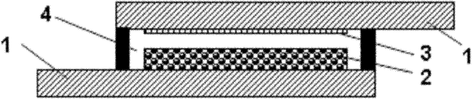 Organic dye for dye sensitized solar cell and preparation method of organic dye