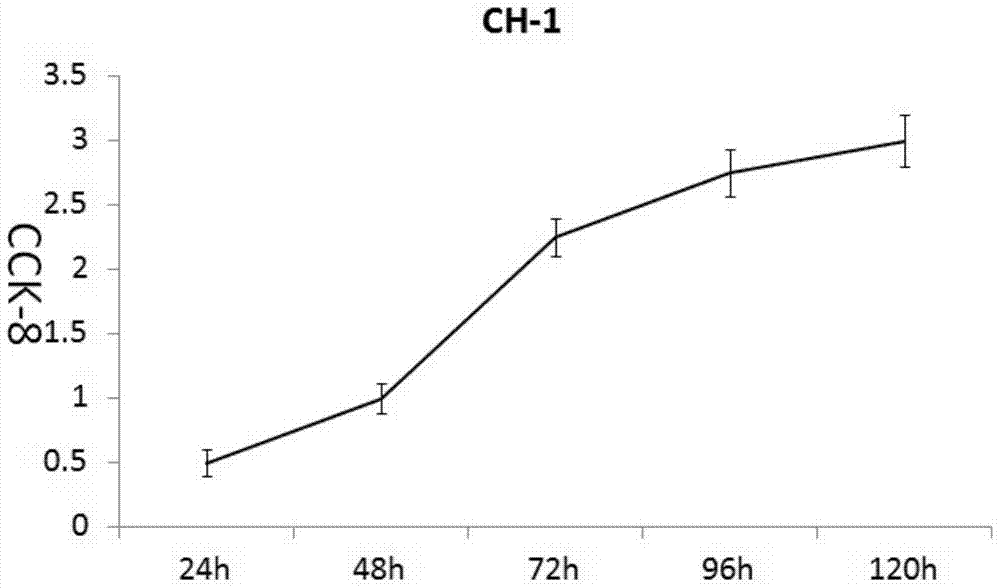 A human low-invasive bladder cancer cell