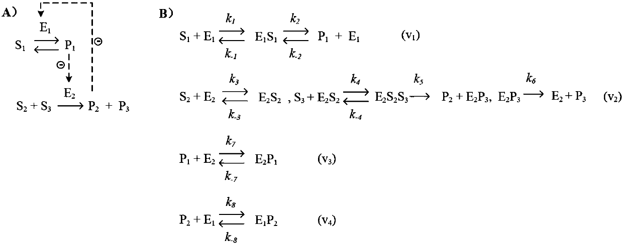 Method for constructing dynamic metabolic network based on topological structure of elementary reactions