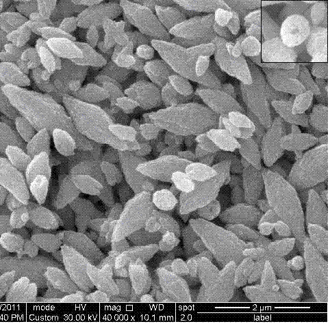 Method for preparing hollow spindle-shaped micro-structured zinc oxide