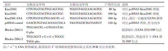 MLPA-enhanced specific method for detecting SNP sites