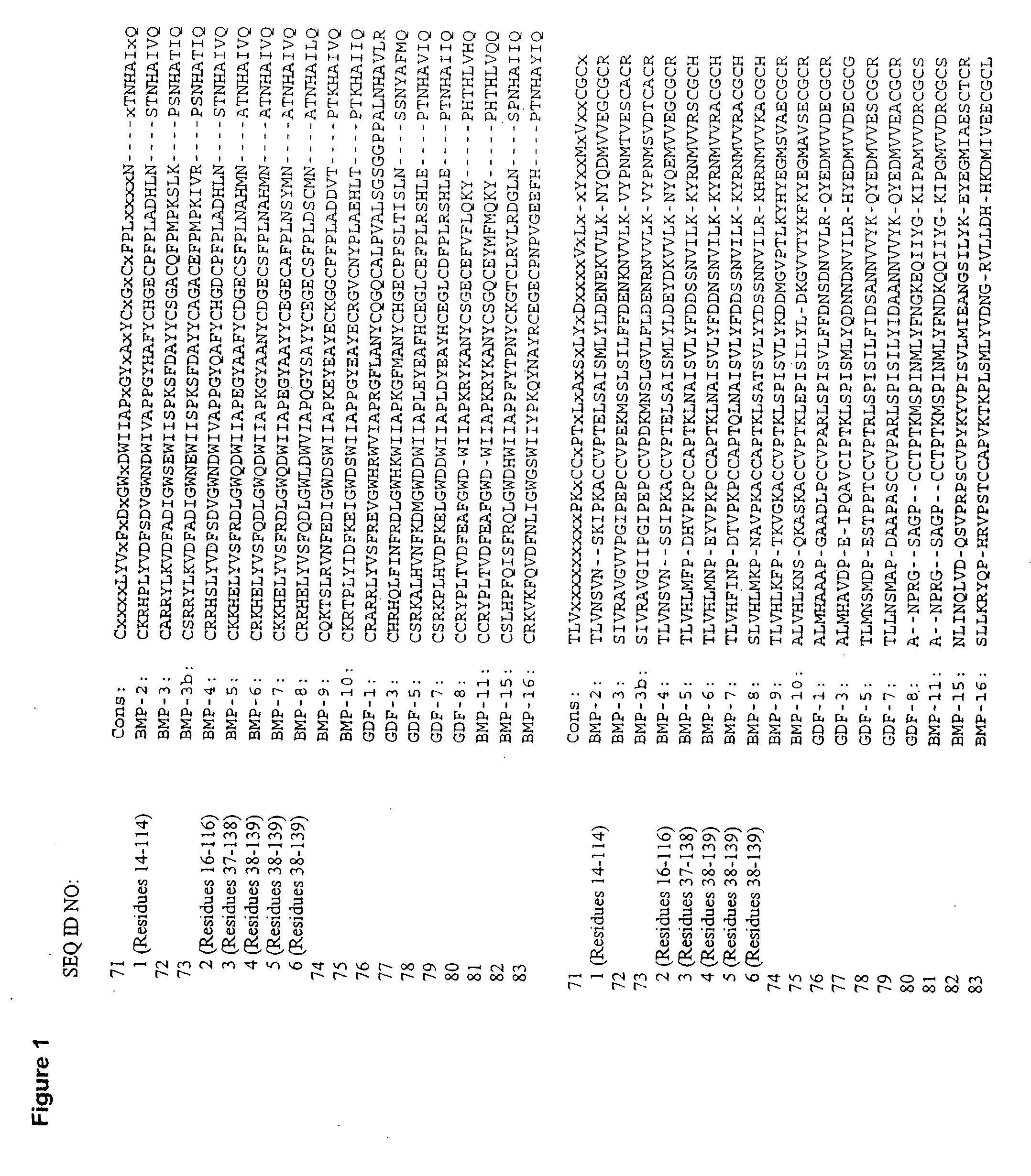 BMP-2 variants with improved properties