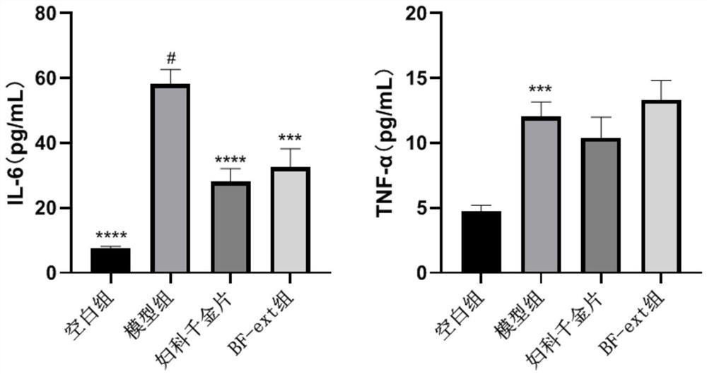 Application of baeckea frutescens extract in preparation of medicine for treating cervicitis