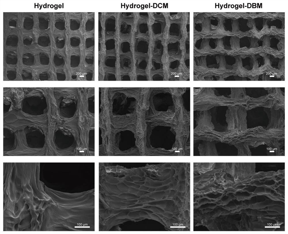 3D bionic biological scaffold containing stem cell exosomes and application