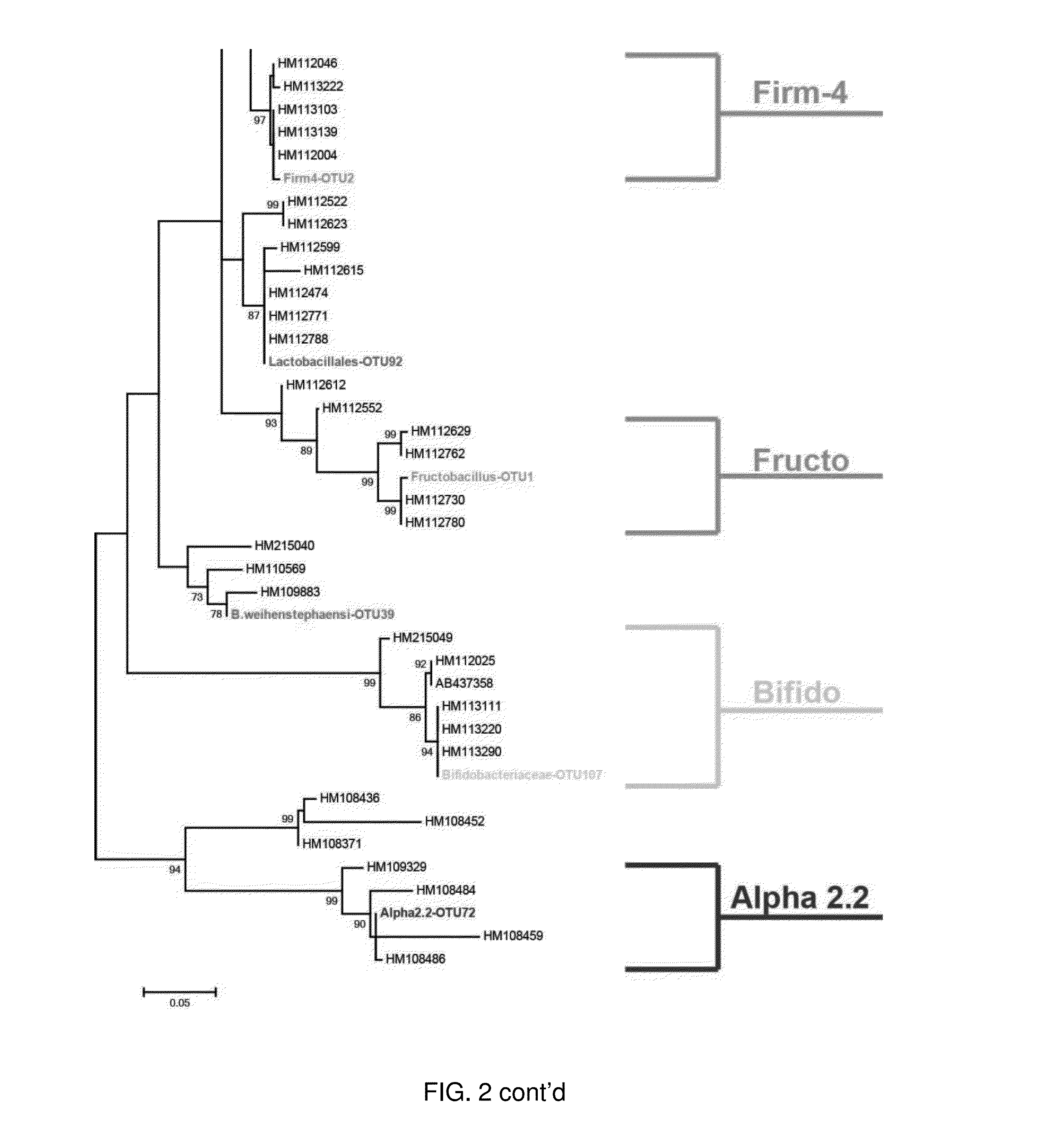 Fructobacillus as a probiotic for honeybees